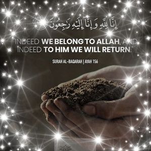 Meet your Posher, Hayat